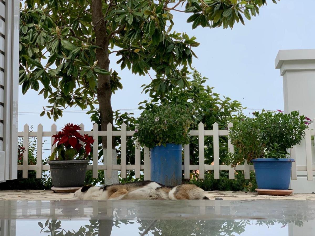 Holiday Home Ali Piqeras Экстерьер фото